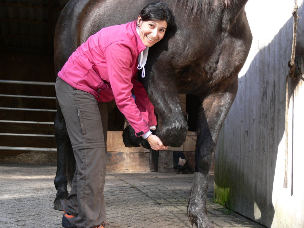 Encarnacion Luque Aleman behandelt Haustiere und Pferde Encarnacion Luque Aleman behandelt Haustiere und Pferde im Großraum Oldenburg, Friesland, Ostfriesland, Wesermarsch, Ammerland.